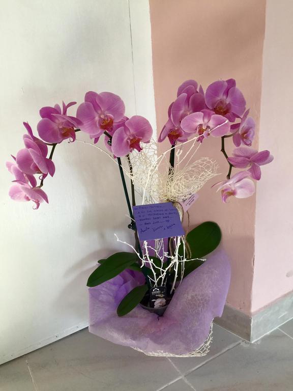 Montello Sweet House Iun Q5874 Villa Cagliari Ngoại thất bức ảnh